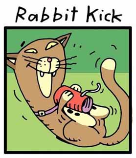 Products/RabbitKick.jpg