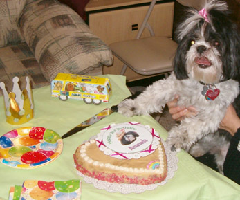 dogparty2.jpg