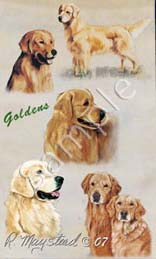 goldenretriever.jpg