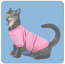 kittysweatshirt.jpg