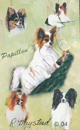 papillon.jpg