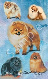 pomeranian.jpg