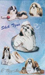 shihtzu.jpg