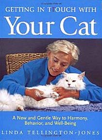 tt4catsbk.jpg