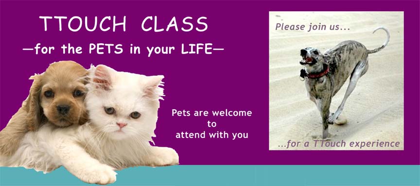 ttclassbanner.jpg
